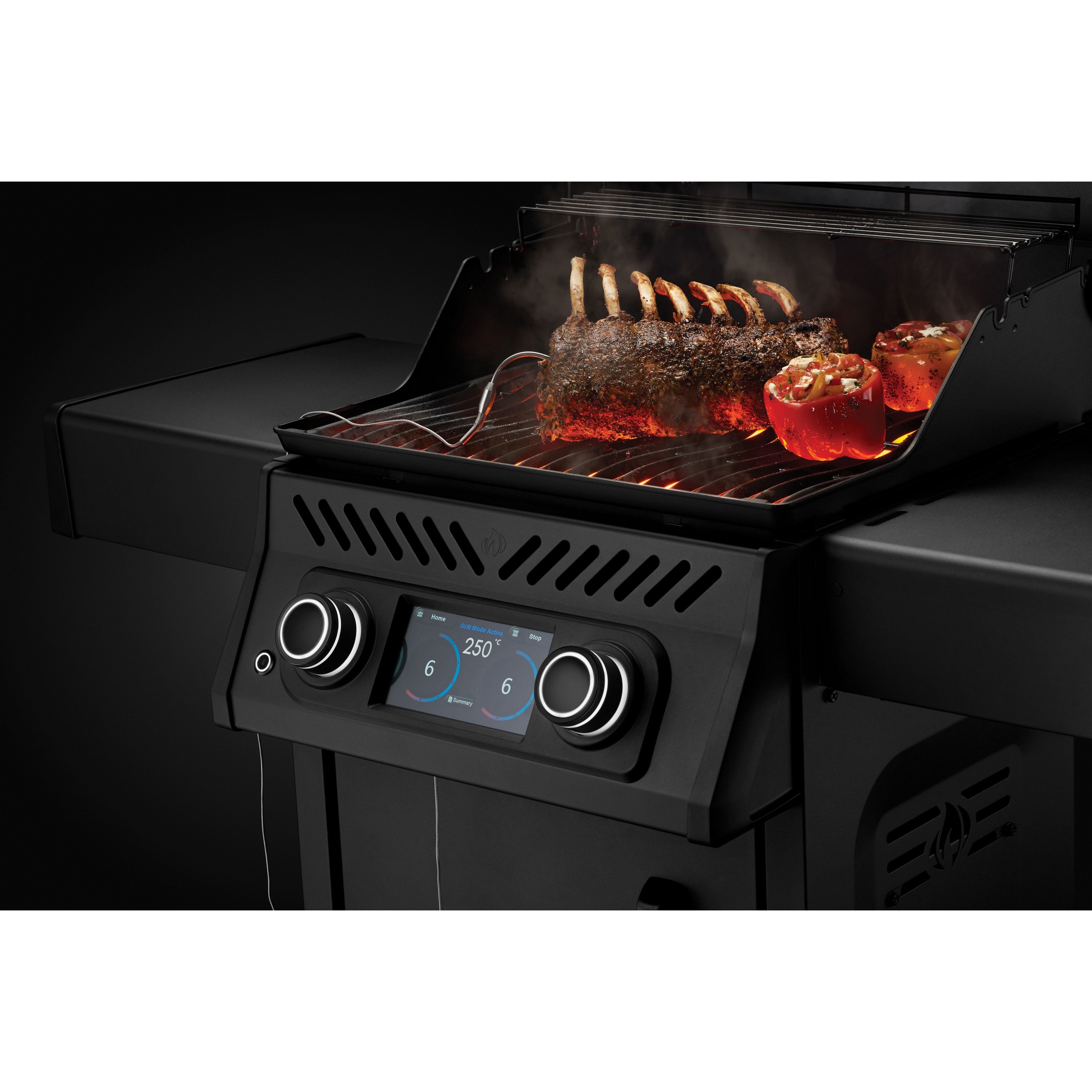  Napoleon REQ365 Elektrische Barbecue Matte Black